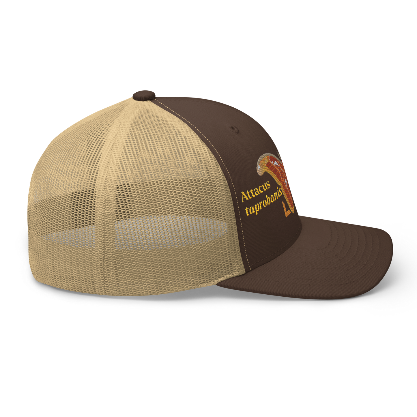 Atlas Moth "Attacus taprobanis" Embroidered Brown & Khaki Trucker Hat Right Mockup