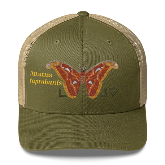 Atlas Moth "Attacus taprobanis" Embroidered Moss Green & Khaki Trucker Hat Front Mockup