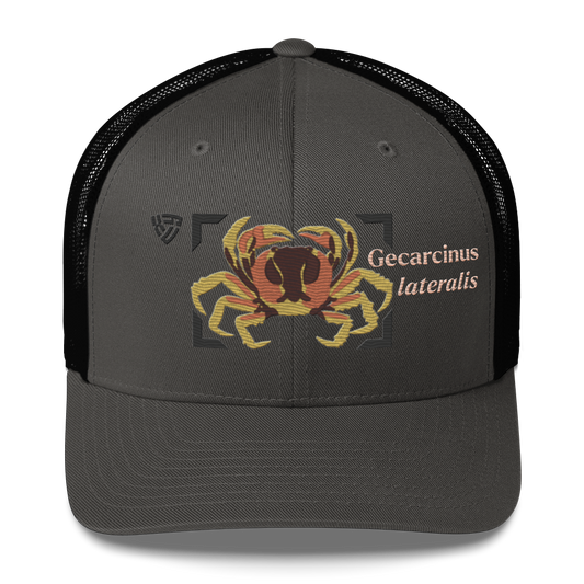 Blackback Land Crab "Gecarcinus lateralis" Embroidered Charcoal Grey & Black Trucker Hat Front Mockup
