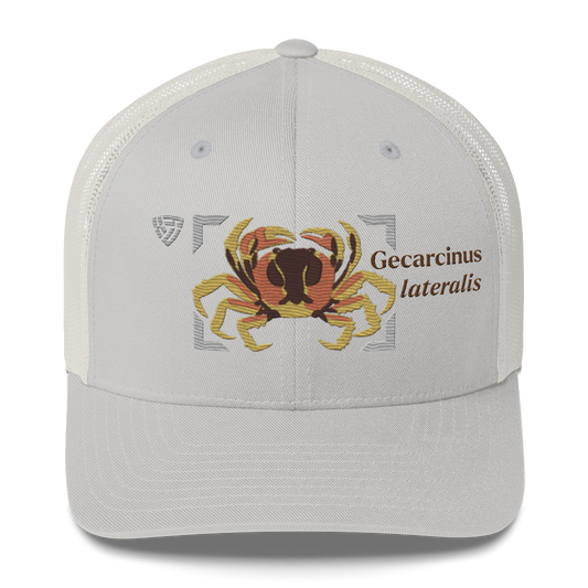 Blackback Land Crab "Gecarcinus lateralis" Embroidered Silver Trucker Hat Front Mockup