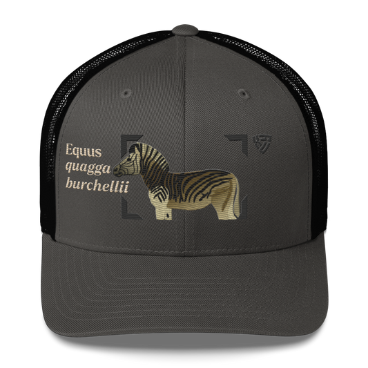 Bontequagga "Equua quagga burchellii" Embroidered Charcoal Grey & Black Trucker Hat Front Mockup