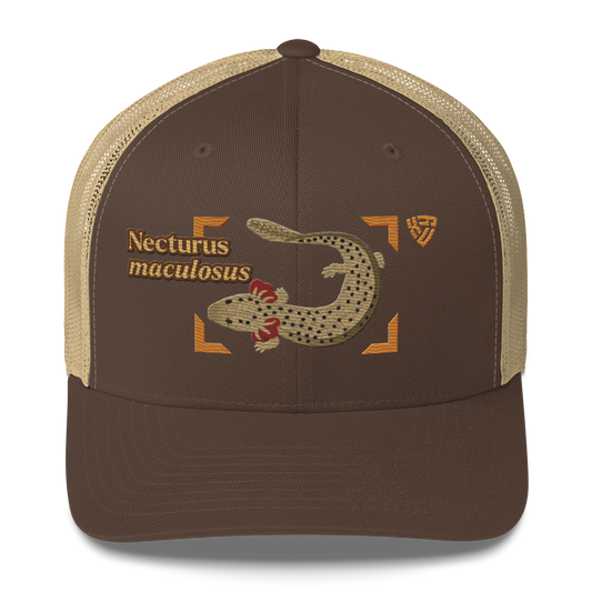 Common Mudpuppy "Necturus maculosus" Embroidered Brown & Khaki Trucker Hat Front Mockup