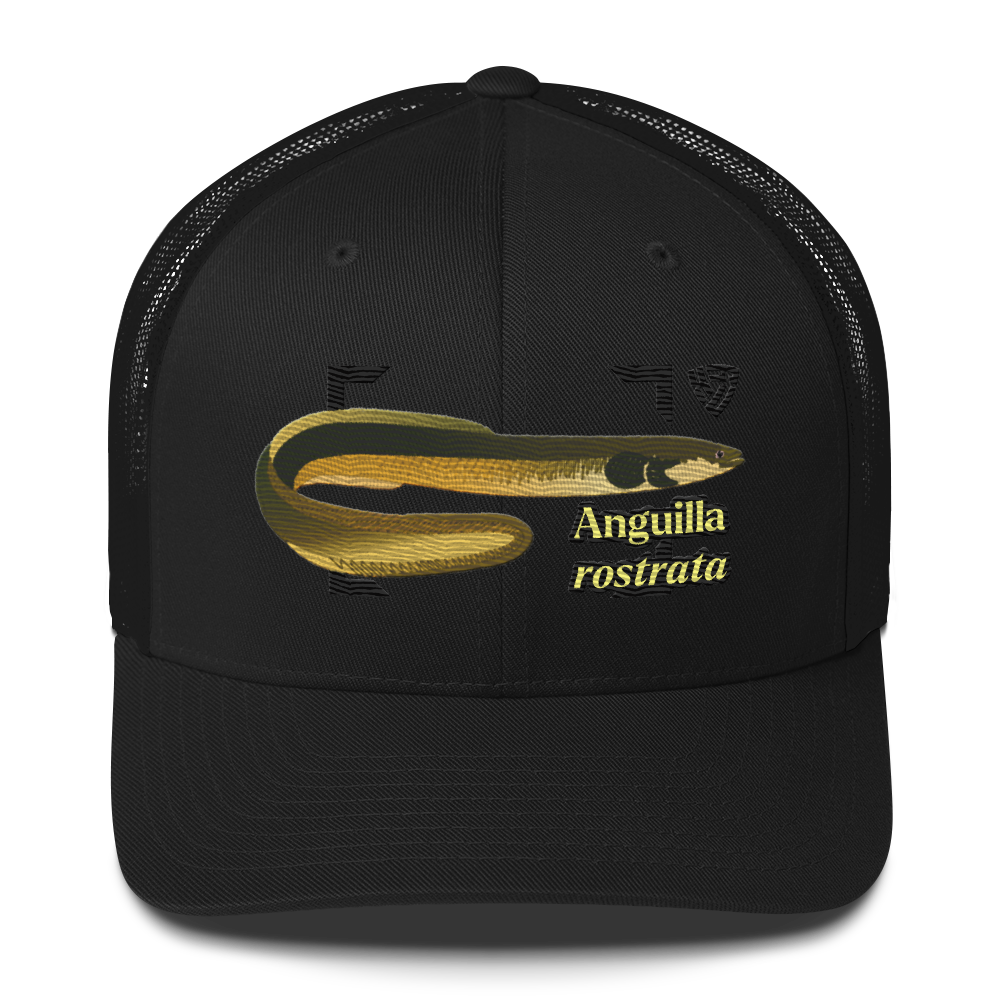 American Eel "Anguilla rostrata" Embroidered Black Trucker Hat Front Mockup