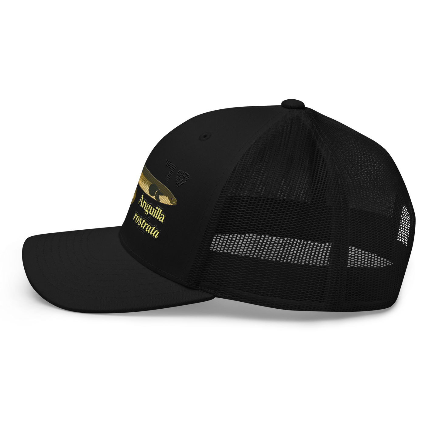 American Eel "Anguilla rostrata" Embroidered Black Trucker Hat Left Mockup