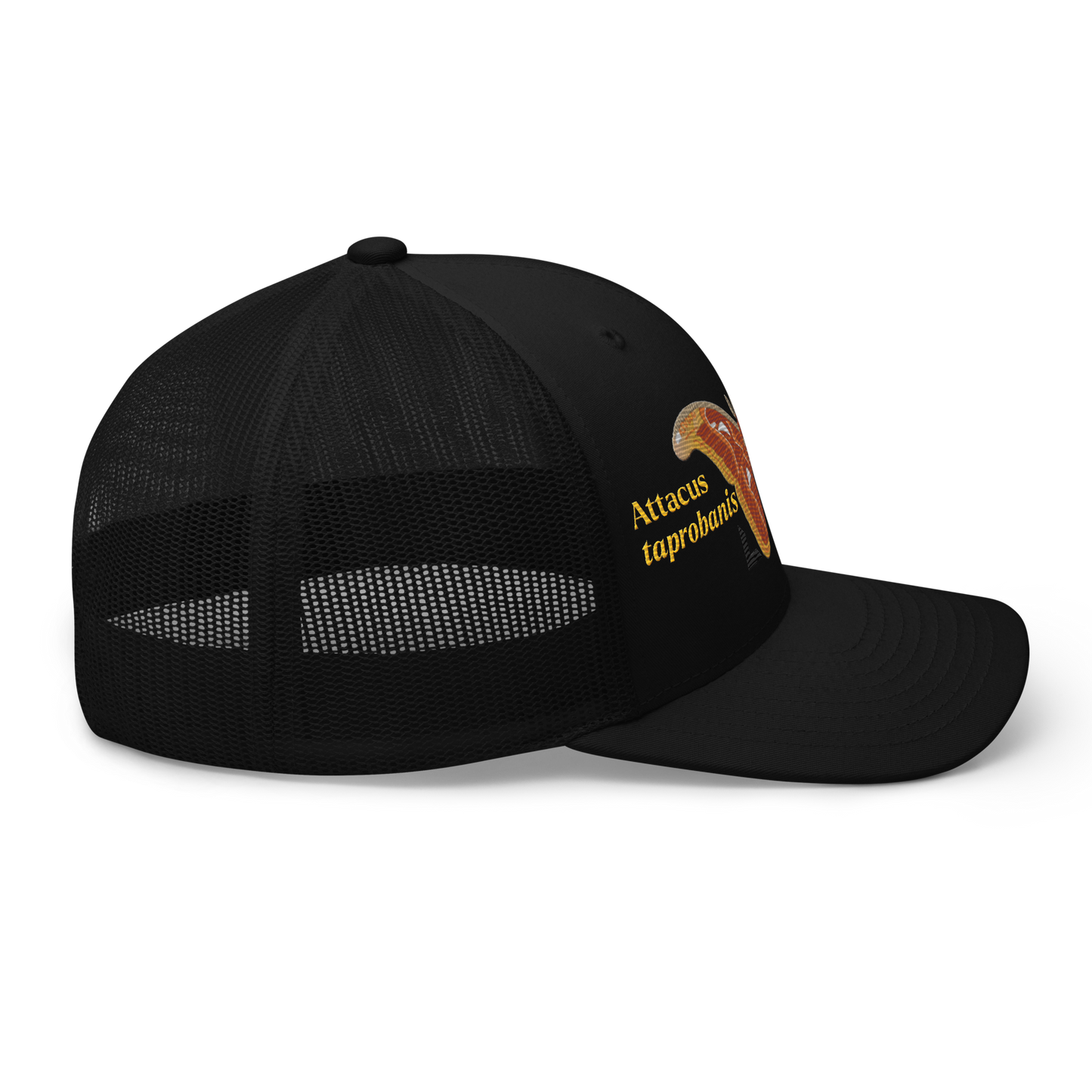 Atlas Moth "Attacus taprobanis" Embroidered Black Trucker Hat Right Mockup