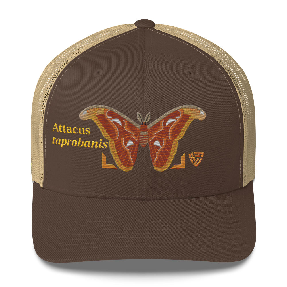 Atlas Moth "Attacus taprobanis" Embroidered Brown & Khaki Trucker Hat Front Mockup