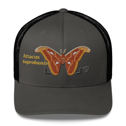 Atlas Moth "Attacus taprobanis" Embroidered Charcoal Grey & Black Trucker Hat Front Mockup