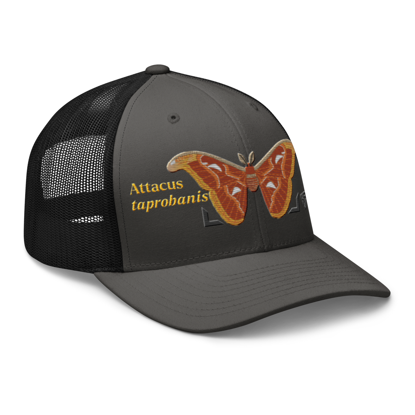 Atlas Moth "Attacus taprobanis" Embroidered Charcoal Grey & Black Trucker Hat Right Front Mockup