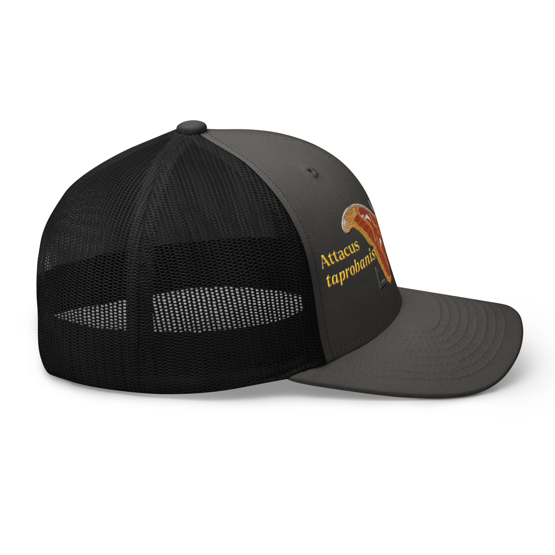 Atlas Moth "Attacus taprobanis" Embroidered Charcoal Grey & Black Trucker Hat Right Mockup