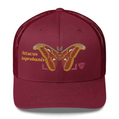 Atlas Moth "Attacus taprobanis" Embroidered Cranberry Red Trucker Hat Front Mockup