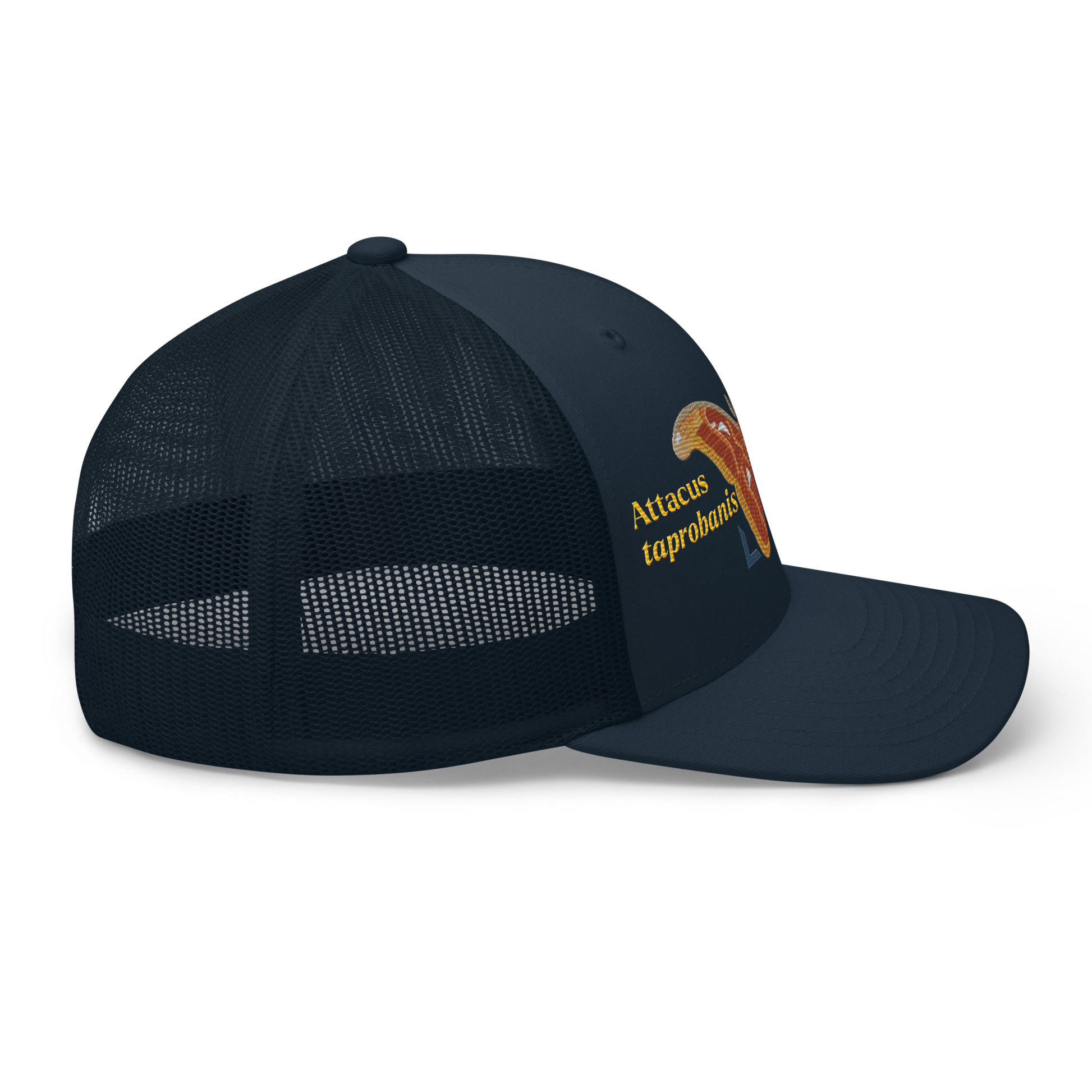Atlas Moth "Attacus taprobanis" Embroidered Navy Blue Trucker Hat Right Mockup