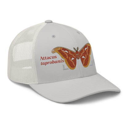 Atlas Moth "Attacus taprobanis" Embroidered Silver Trucker Hat Right Front Mockup