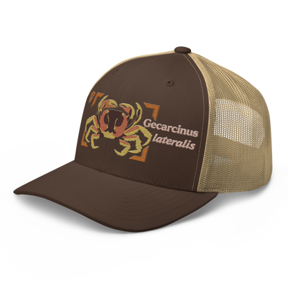 Blackback Land Crab "Gecarcinus lateralis" Embroidered Brown & Khaki Trucker Hat Left Front Mockup