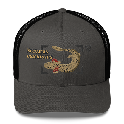 Common Mudpuppy "Necturus maculosus" Embroidered Charcoal Grey & Black Trucker Hat Front Mockup
