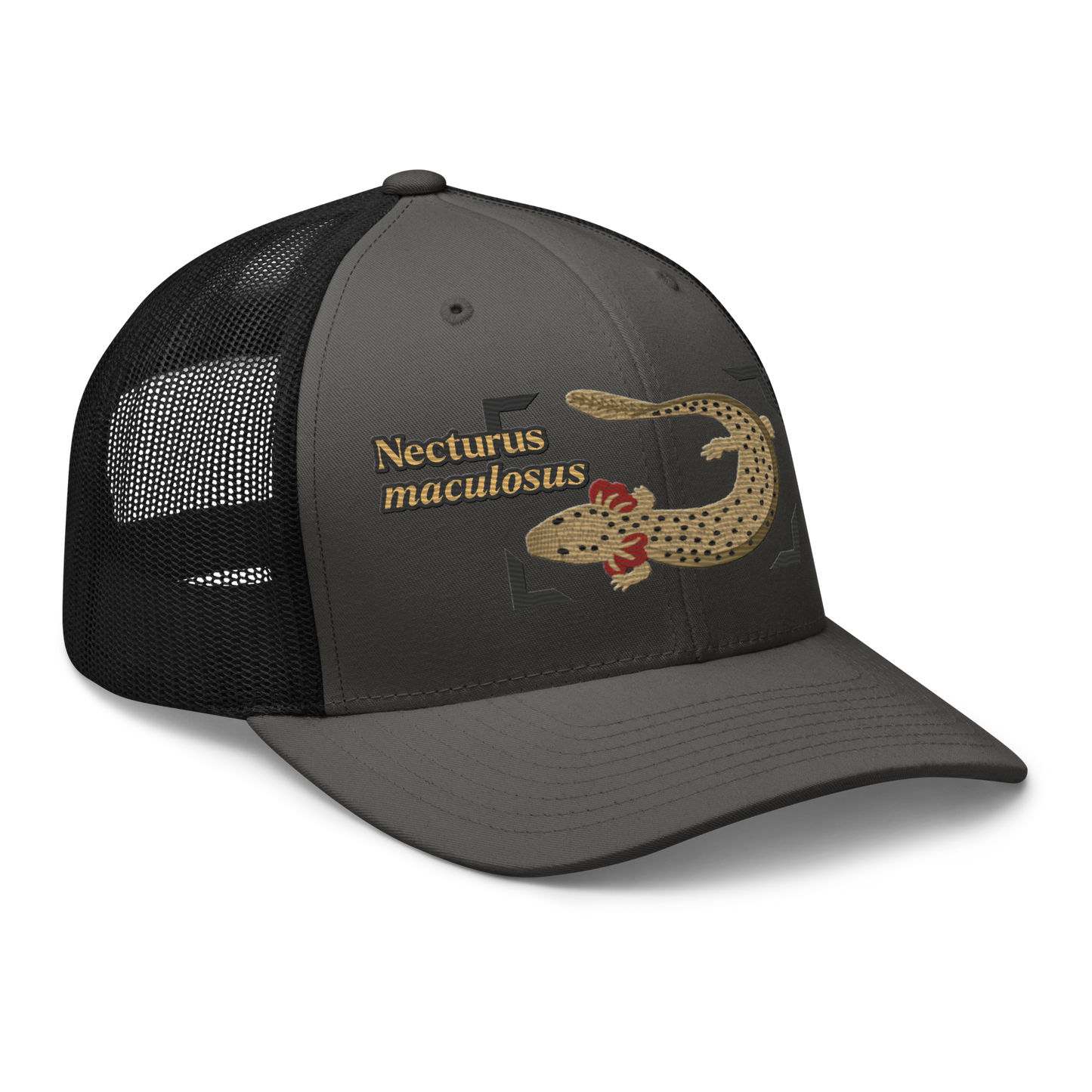 Common Mudpuppy "Necturus maculosus" Embroidered Charcoal Grey & Black Trucker Hat Right Front Mockup