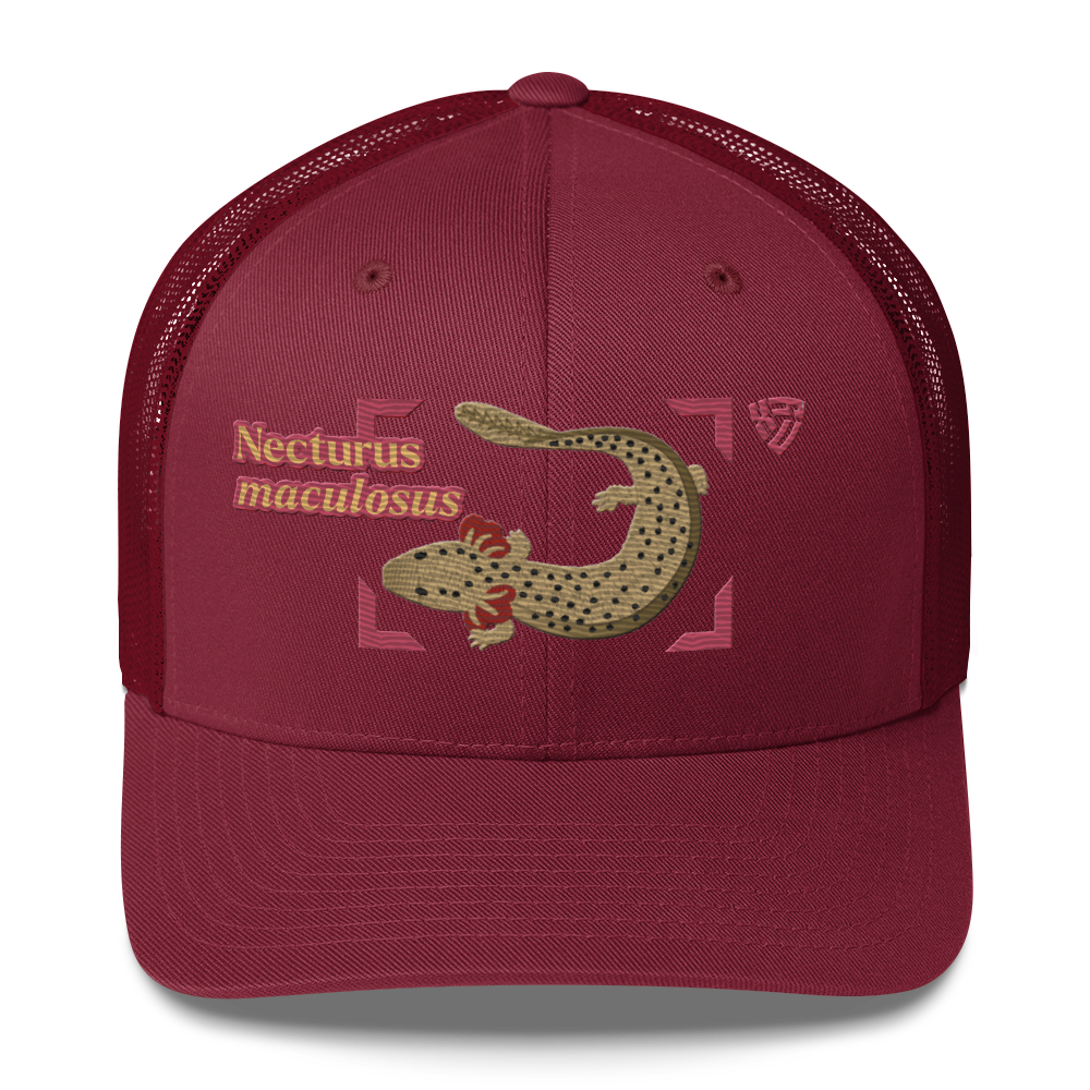 Common Mudpuppy "Necturus maculosus" Embroidered Cranberry Red Trucker Hat Front Mockup