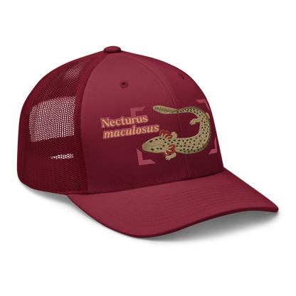 Common Mudpuppy "Necturus maculosus" Embroidered Cranberry Red Trucker Hat Right Front Mockup