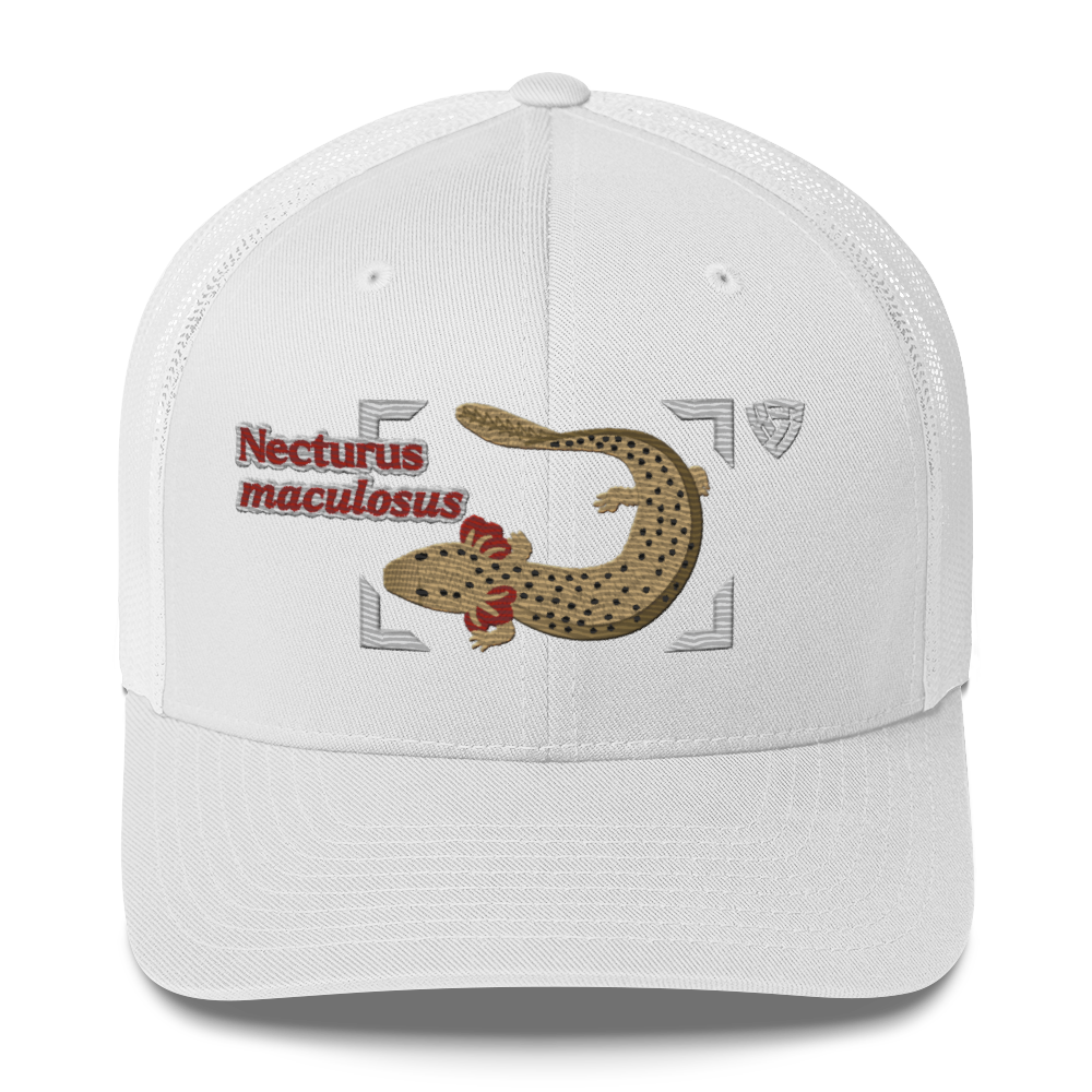 Common Mudpuppy "Necturus maculosus" Embroidered White Trucker Hat Front Mockup