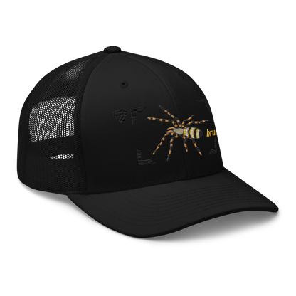 Wasp Spider "Argiope bruennichi" Embroidered Black Trucker Hat Right Front Mockup