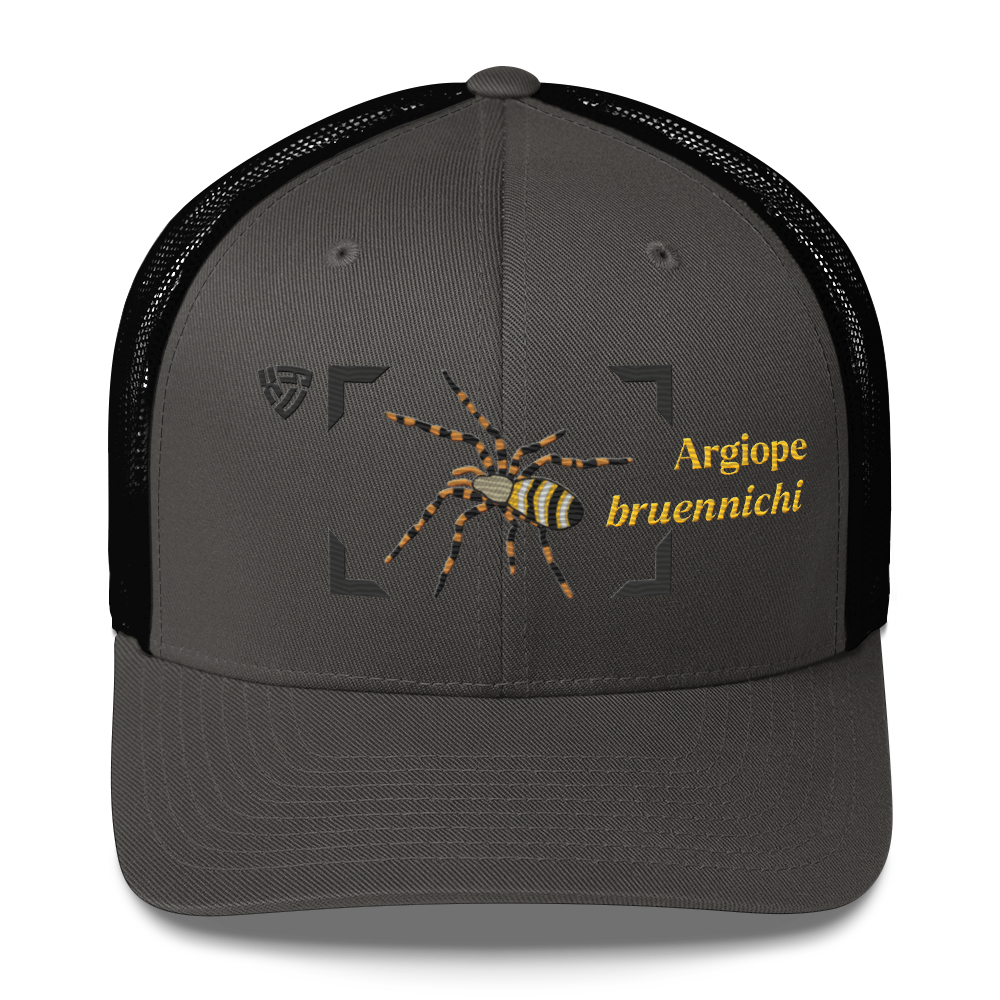 Wasp Spider "Argiope bruennichi" Embroidered Charcoal Grey & Black Trucker Hat Front View